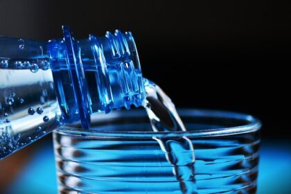 Snapseglasets betydning for smagsoplevelsen - Hvorfor er det vigtigt at vælge det rigtige glas?