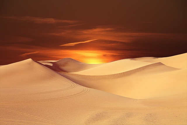 Sådan rengør du dit sandsand efter en dag på stranden