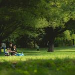 Fra couloir til kløften: Din perfekte picnic-partner
