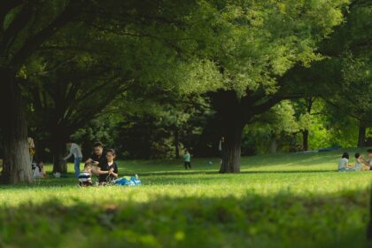 Fra couloir til kløften: Din perfekte picnic-partner