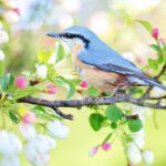 Fra traditionelle buketter til moderne arrangementer: Sådan har blomsterbutikkerne i Danmark udviklet sig